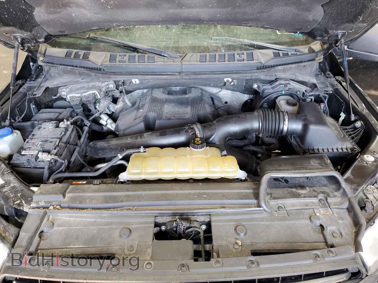 2019 FORD F-150 - VIN: 1FTEW1E42KFC28247 - Фото 11
