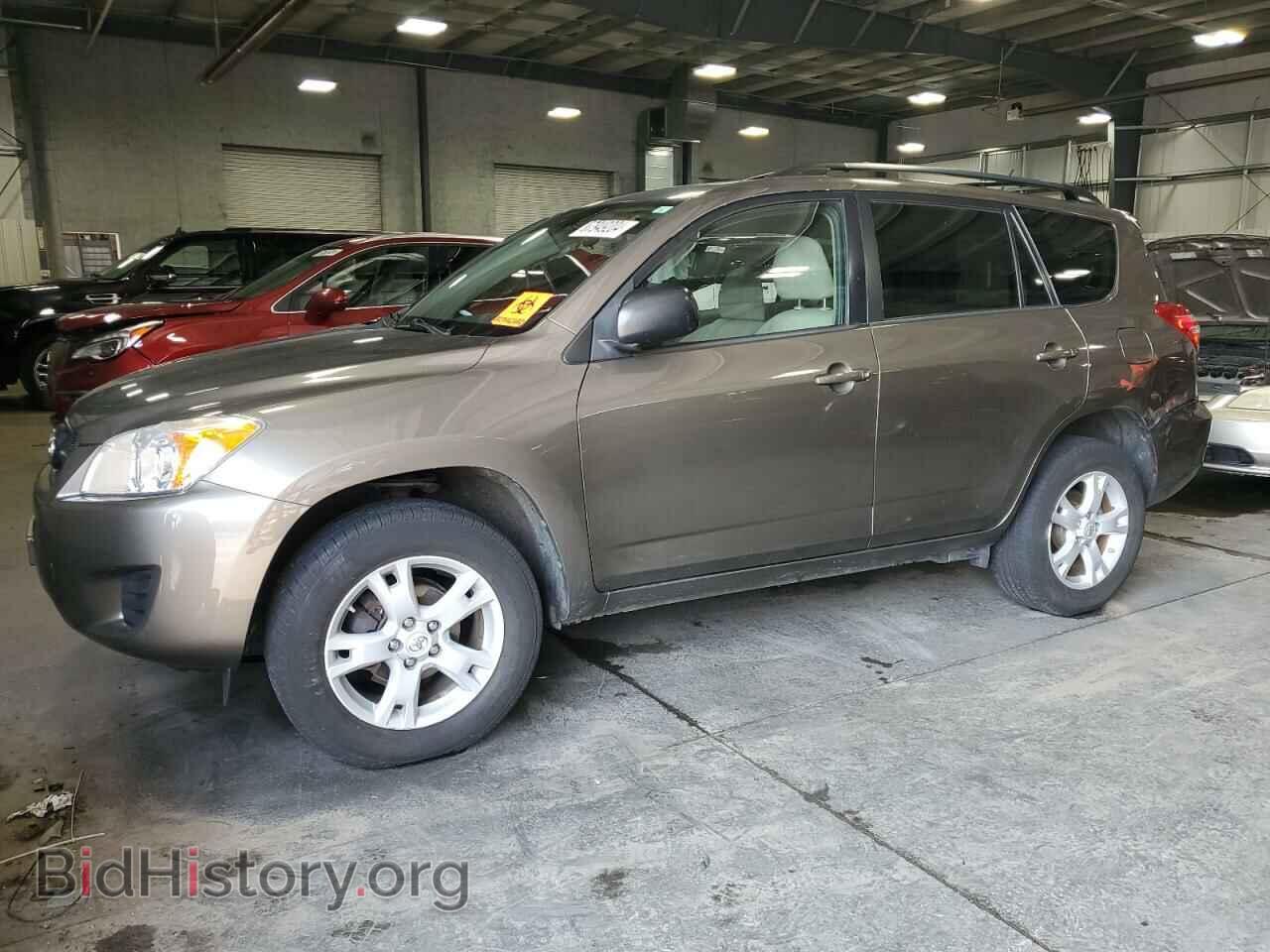 Фотография 2T3BF4DV8CW258884 - TOYOTA RAV4 2012