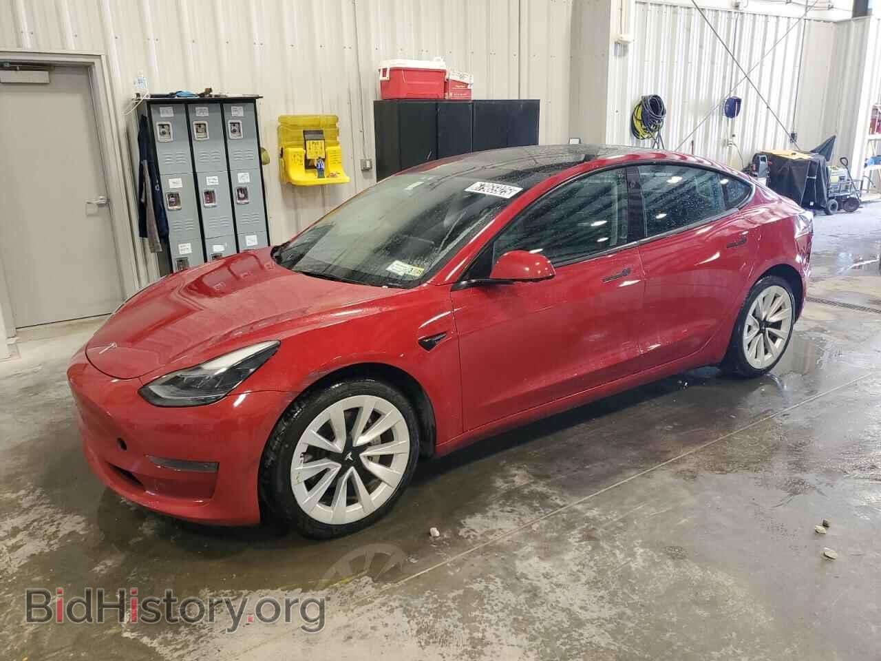 Фотография 5YJ3E1EA2PF448130 - TESLA MODEL 3 2023