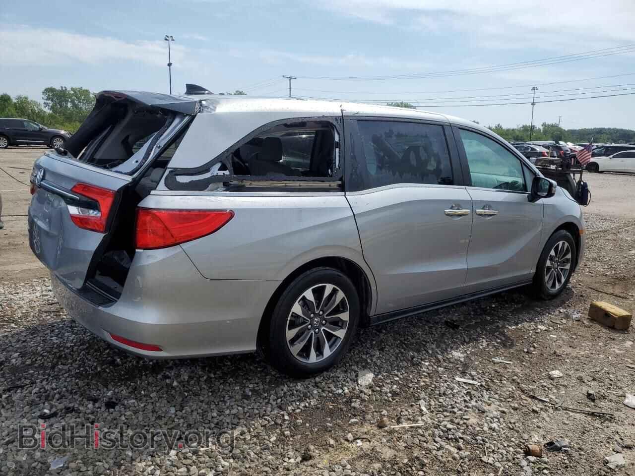 2024 HONDA All Models - VIN: 5FNRL6H67RB044781 - Фото 3