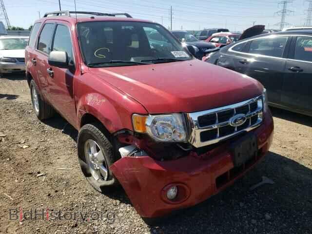 Фотография 1FMCU0D71BKA05025 - FORD ESCAPE 2011
