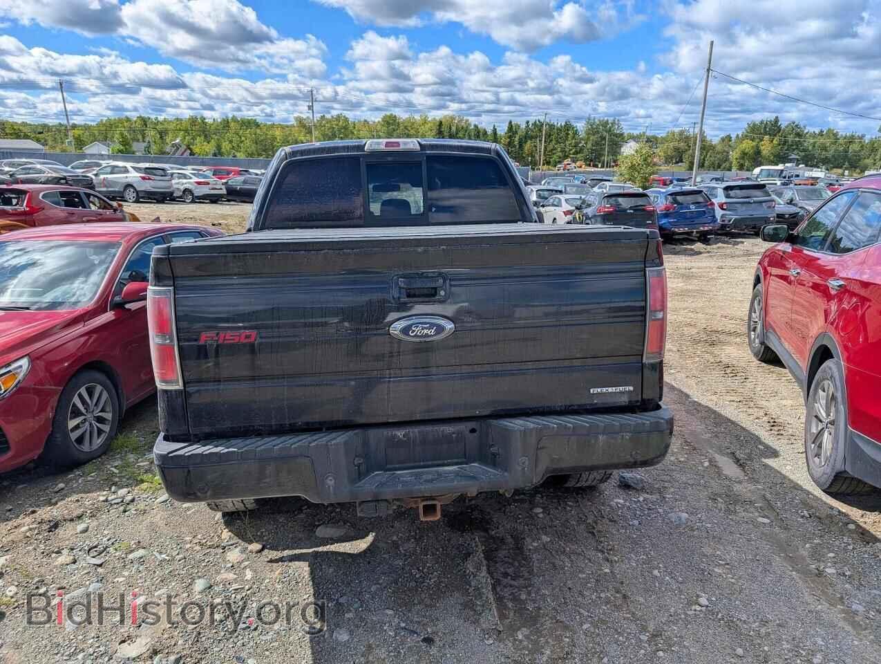 2013 FORD F150 - VIN: 1FTFW1EF3DFD20315 - Фото 6