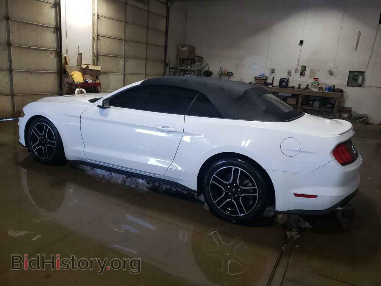 2019 FORD MUSTANG - VIN: 1FATP8UH0K5162309 - Фото 2