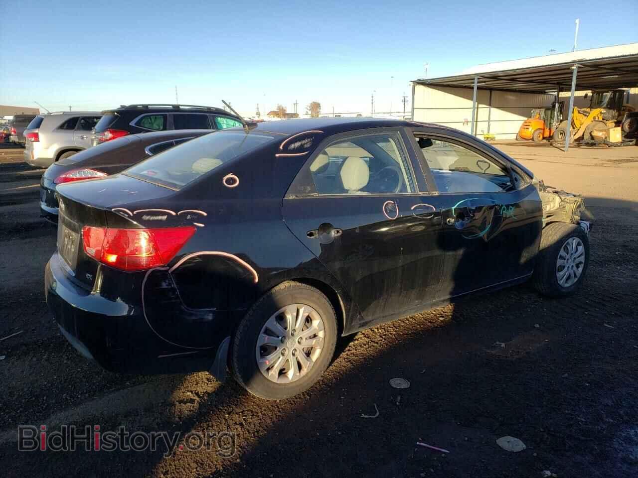 2013 KIA FORTE - VIN: KNAFU4A29D5692318 - Фото 3