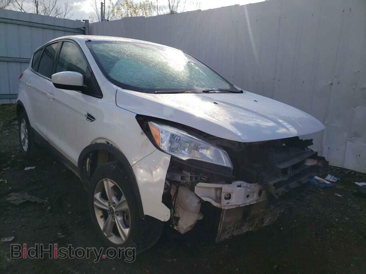 2013 FORD ESCAPE - VIN: 1FMCU0G93DUC33368 - Фото 4