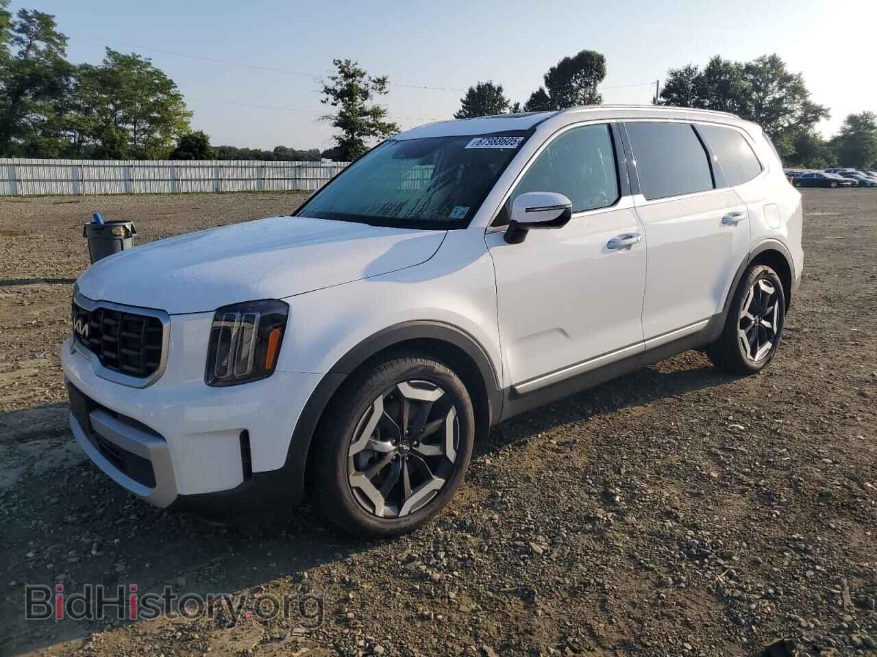 Photo 5XYP6DGC5RG488213 - KIA TELLURIDE 2024