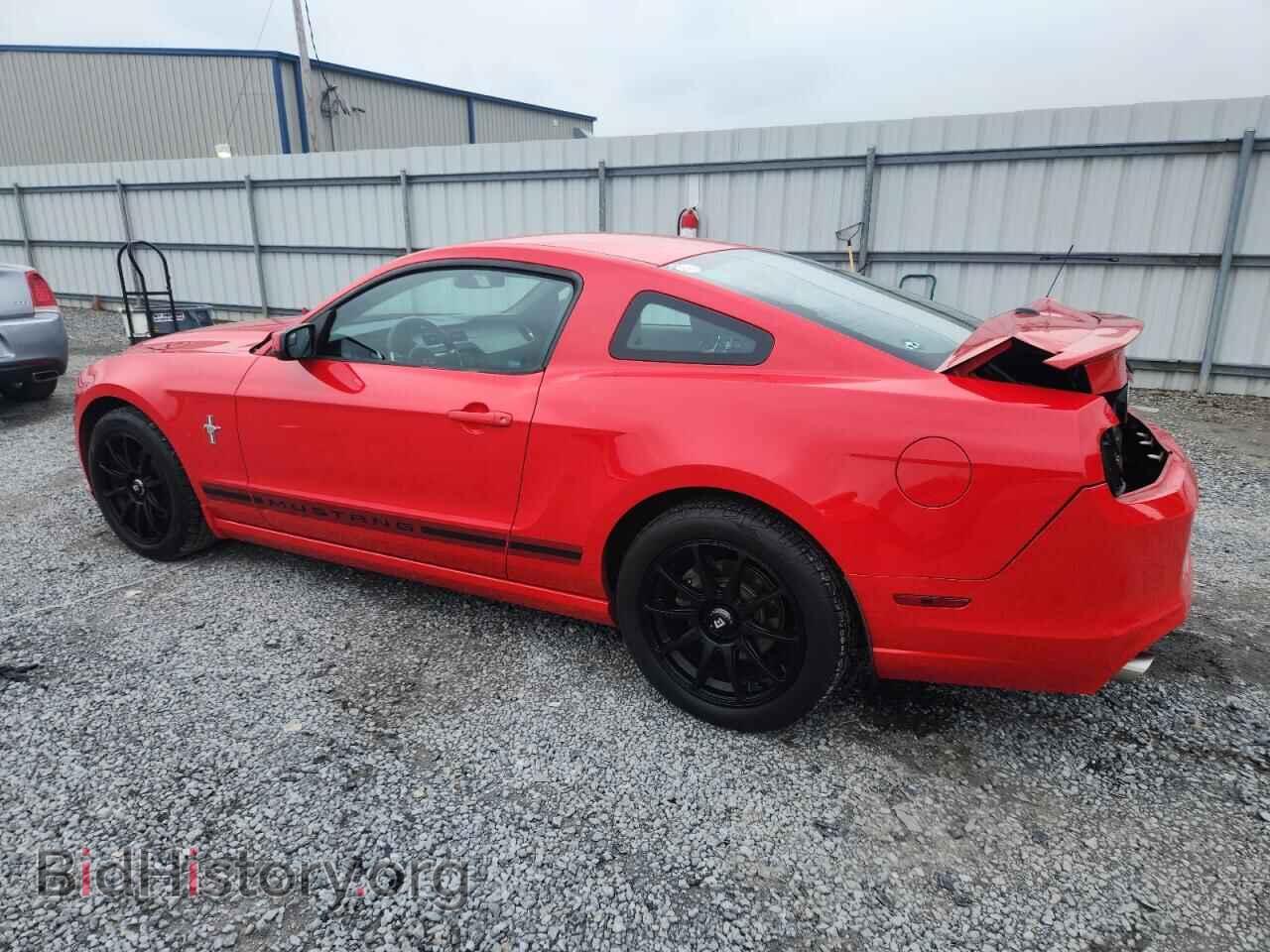 2013 FORD ALL Models - VIN: 1ZVBP8AM0D5263311 - Фото 2