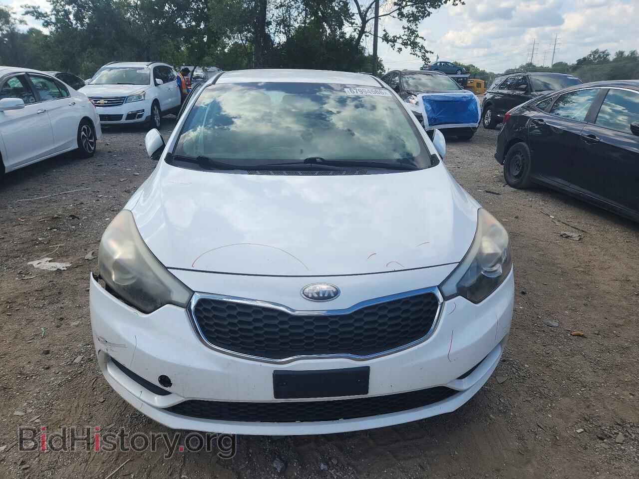 2014 KIA FORTE - VIN: KNAFK4A63E5067701 - Фото 5
