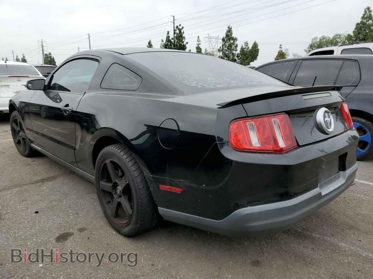 2010 FORD ALL Models - VIN: 1ZVBP8AN7A5137063 - Фото 2