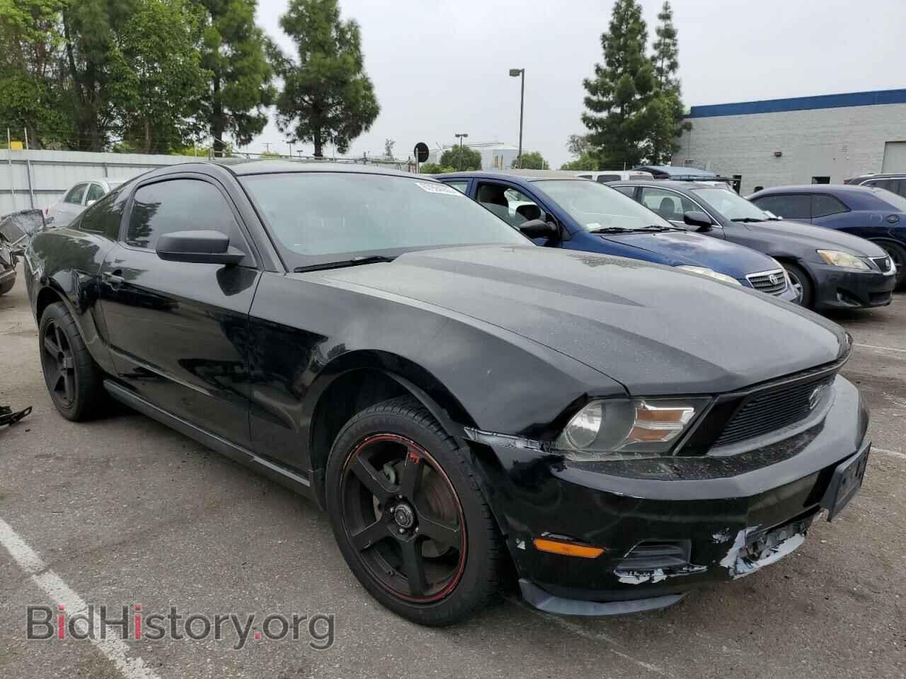 2010 FORD ALL Models - VIN: 1ZVBP8AN7A5137063 - Фото 4
