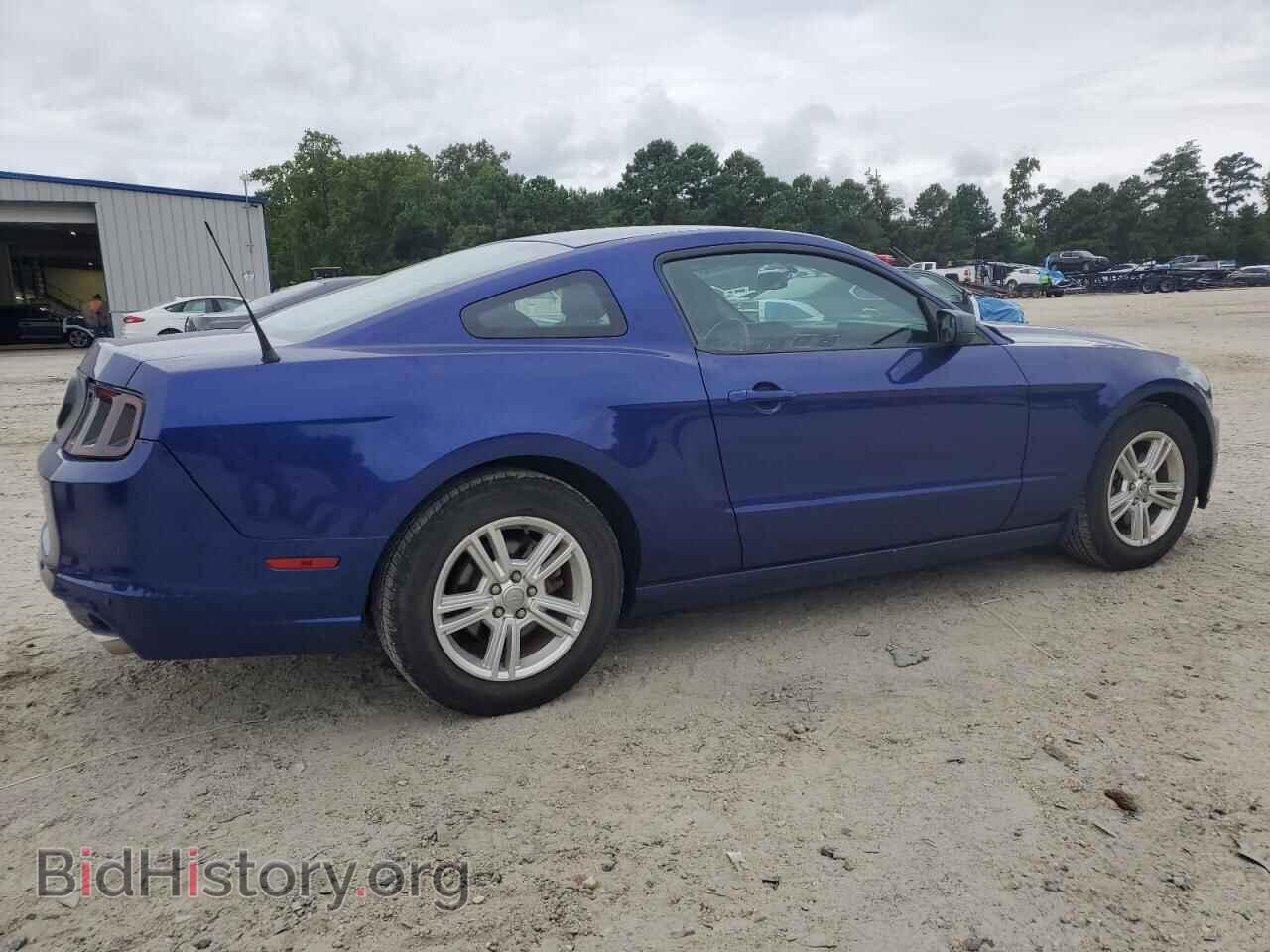 2013 FORD ALL Models - VIN: 1ZVBP8AM2D5258885 - Фото 3