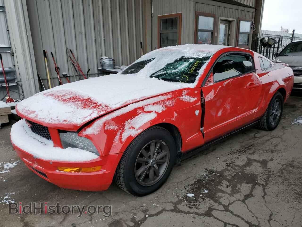 Photo 1ZVFT80N775237901 - FORD MUSTANG 2007