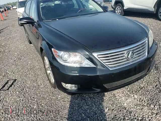 2011 LEXUS LS460 - VIN: JTHDL5EF0B5004041 - Photo 13