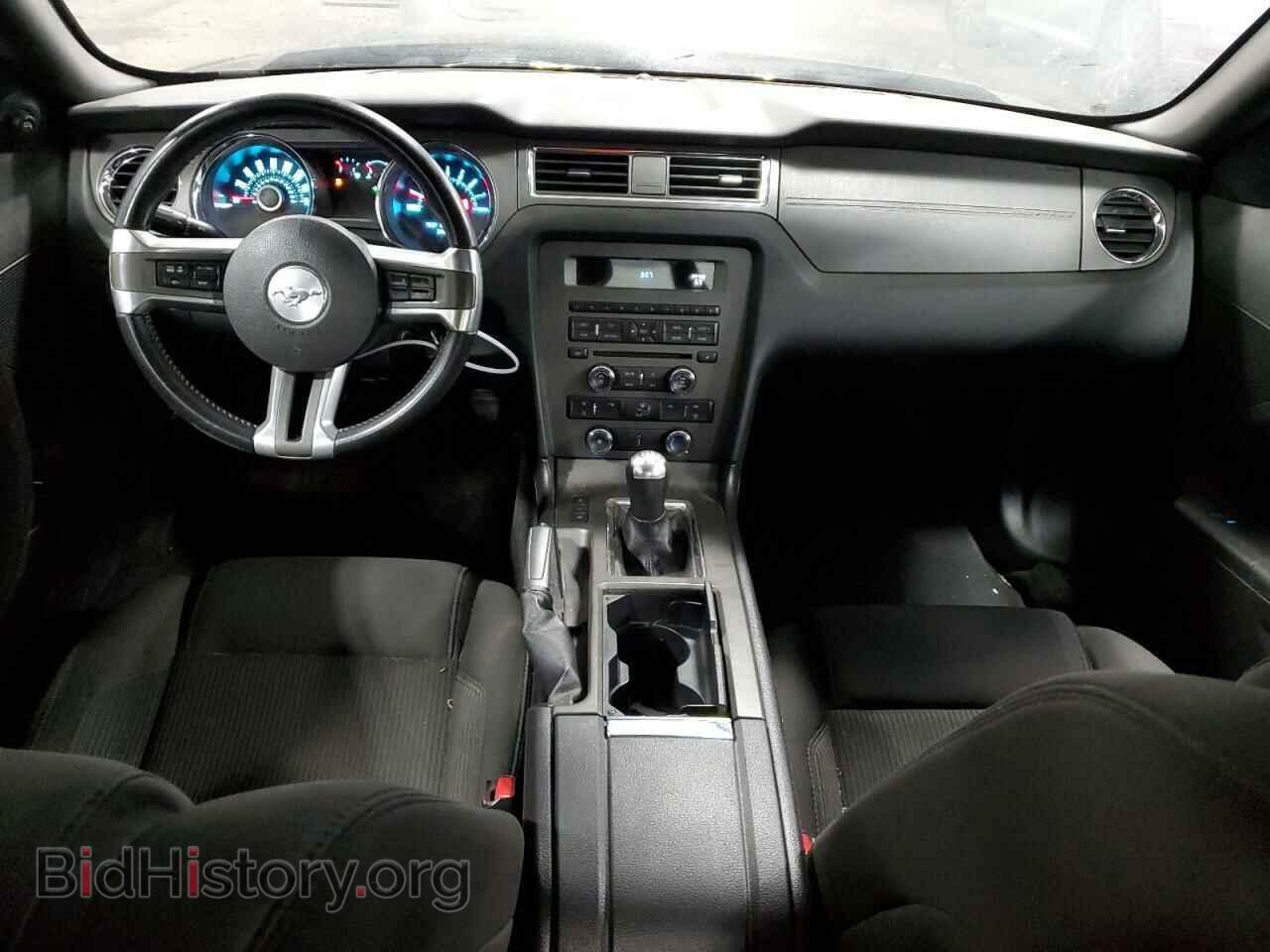 2013 FORD ALL Models - VIN: 1ZVBP8AM5D5251459 - Фото 8