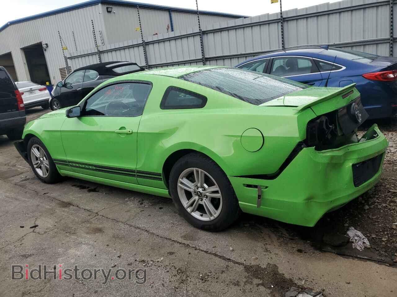2013 FORD ALL Models - VIN: 1ZVBP8AM0D5213010 - Фото 2