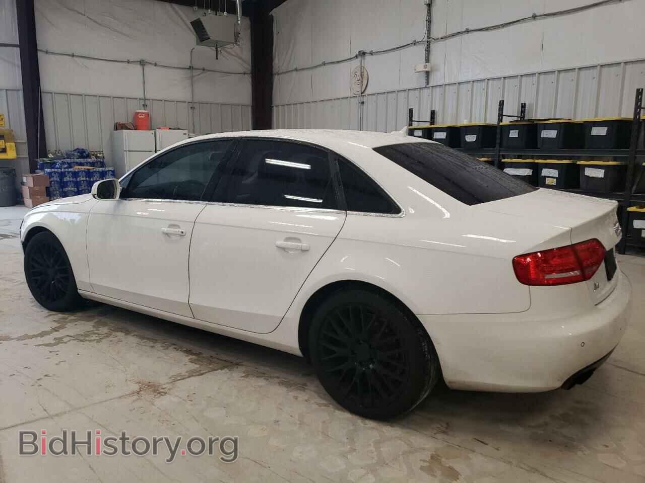 2010 AUDI A4 - VIN: WAUFFAFL2AN050979 - Фото 2