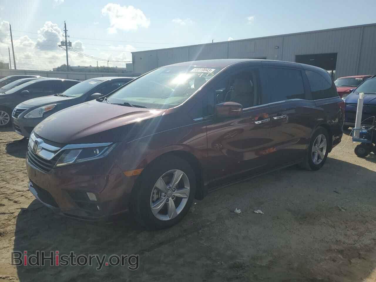Фотография 5FNRL6H56KB138356 - HONDA All Models 2019