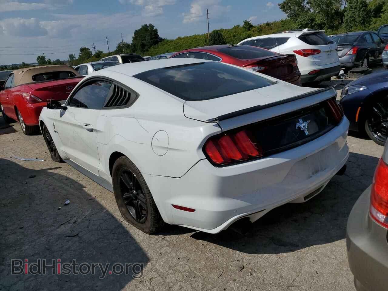 2015 FORD ALL Models - VIN: 1FA6P8AM6F5308670 - Фото 2