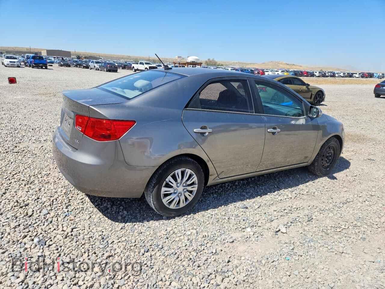 2010 KIA FORTE - VIN: KNAFU4A21A5167300 - Фото 3