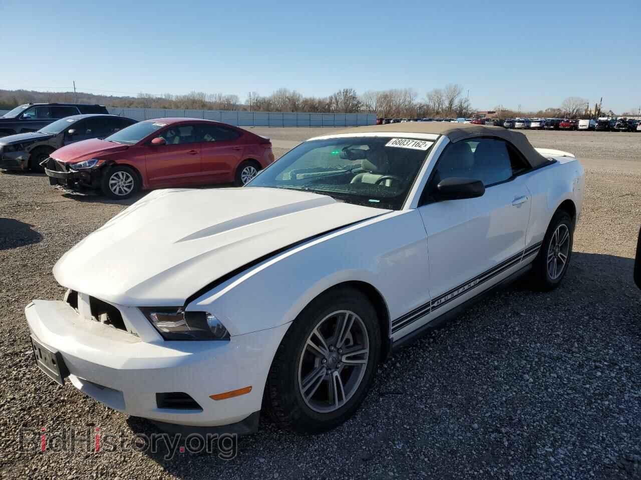 Фотография 1ZVBP8EM0C5279467 - FORD MUSTANG 2012