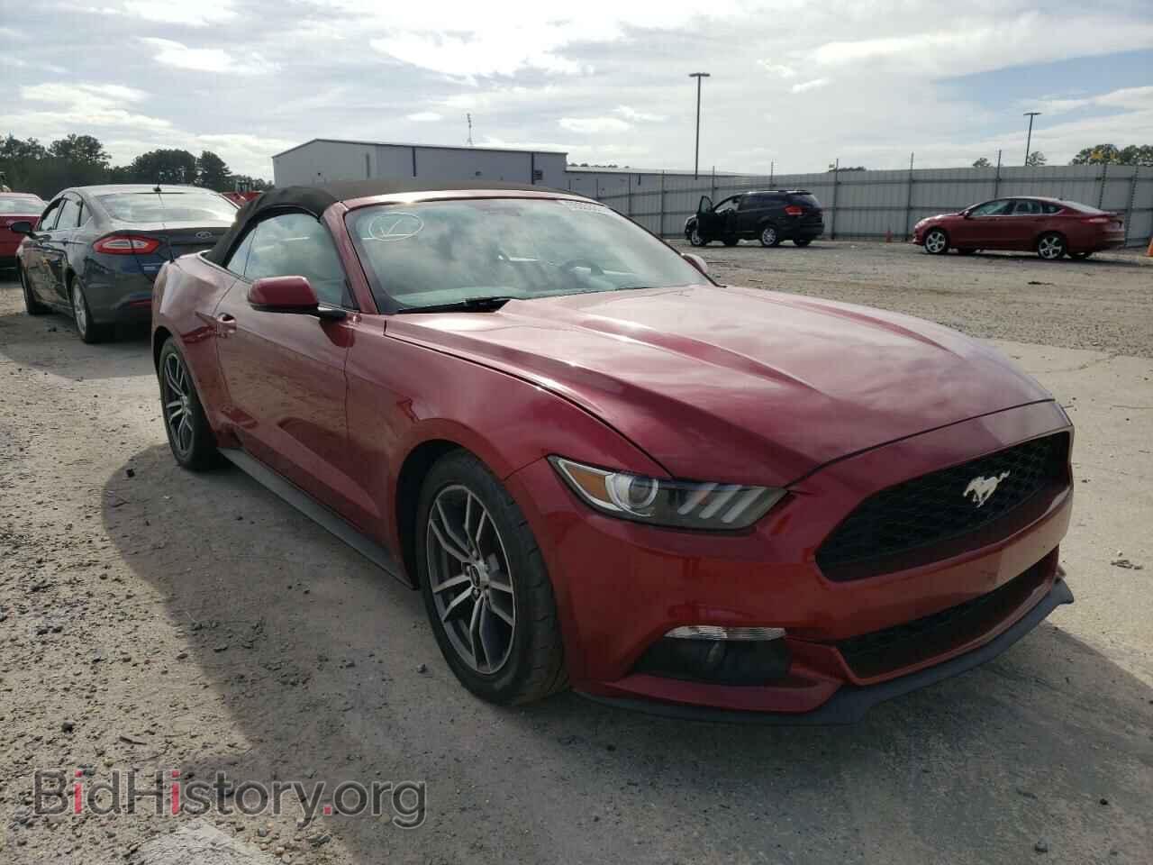 2016 FORD ALL Models - VIN: 1FATP8UH1G5282126 - Фото 4