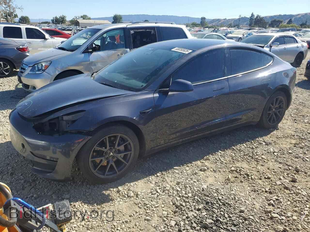 Фотография 5YJ3E1EA8PF645769 - TESLA MODEL 3 2023