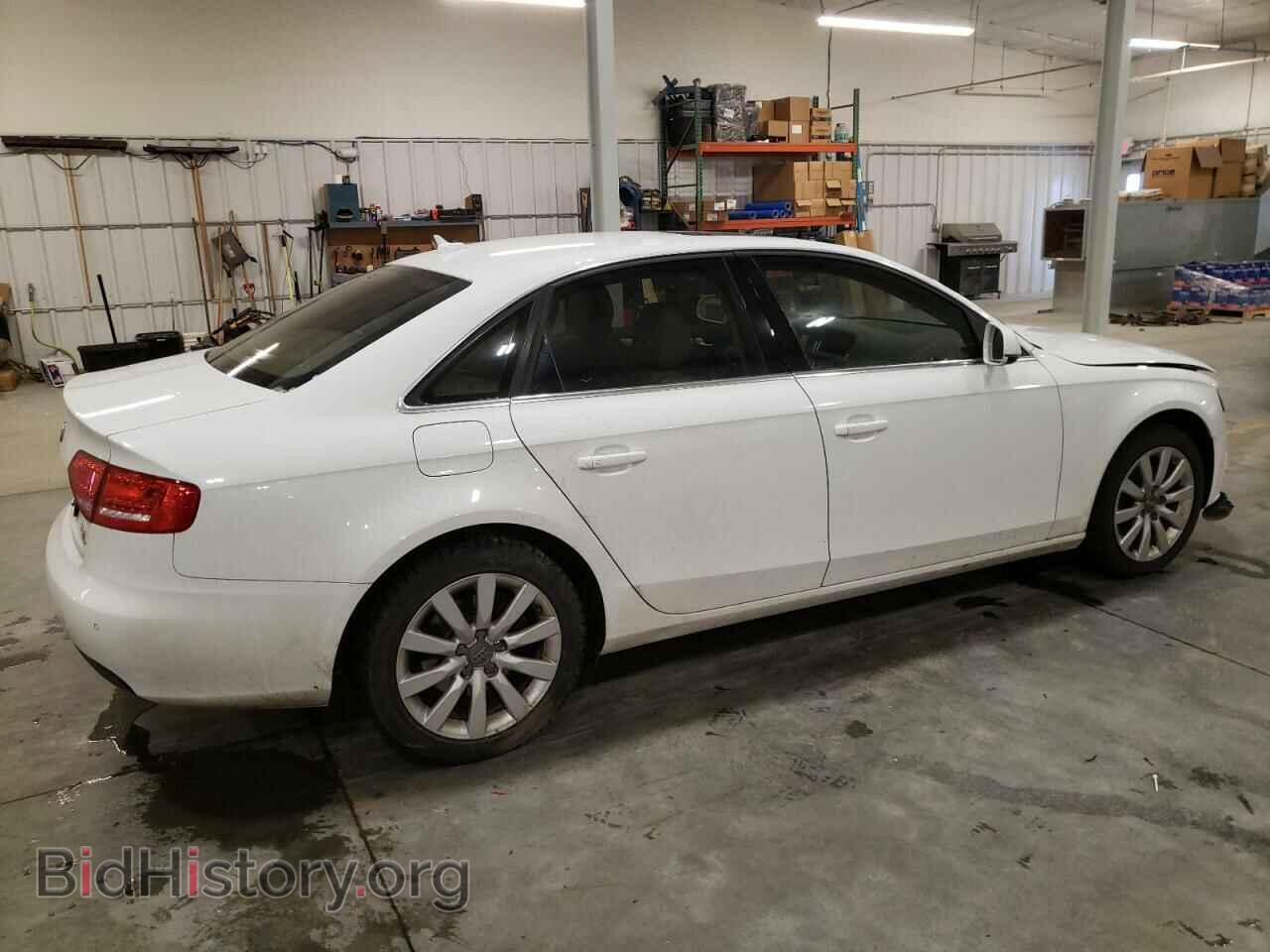 2010 AUDI A4 - VIN: WAUFFAFL1AN051833 - Фото 3