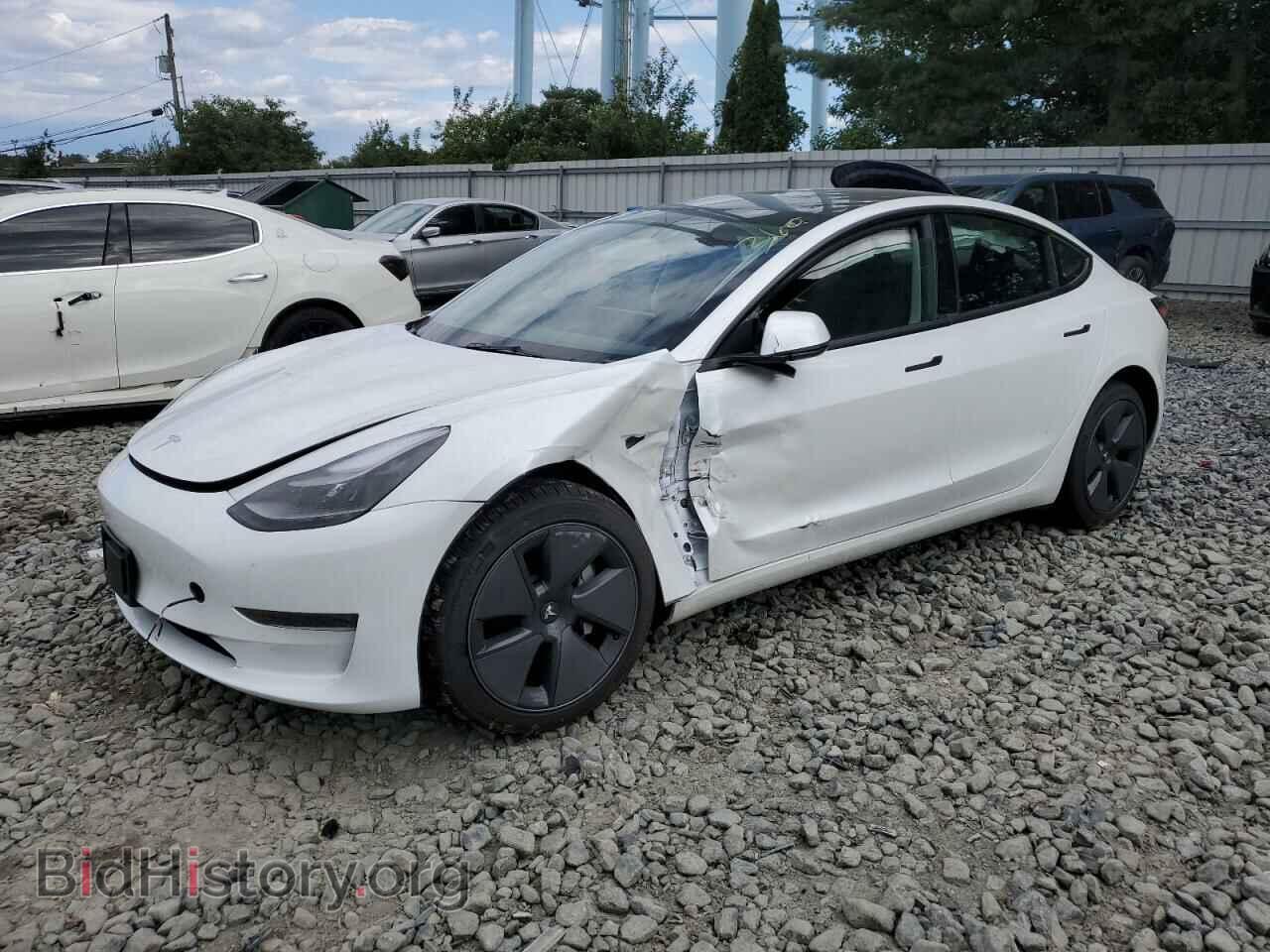 Photo 5YJ3E1EA7PF640031 - TESLA MODEL 3 2023