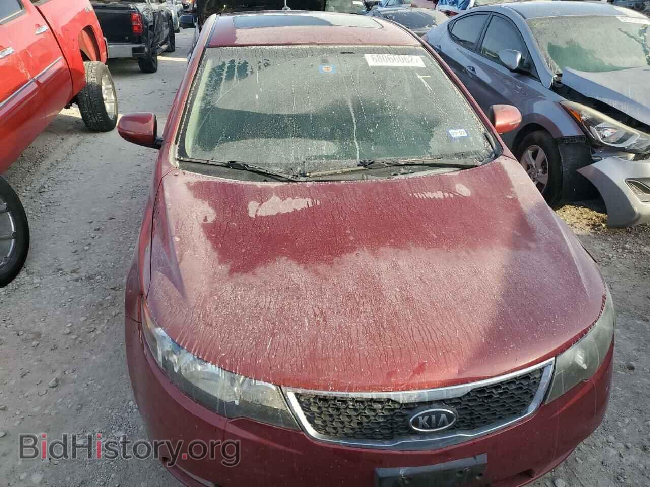 2012 KIA FORTE - VIN: KNAFU5A20C5530002 - Фото 5
