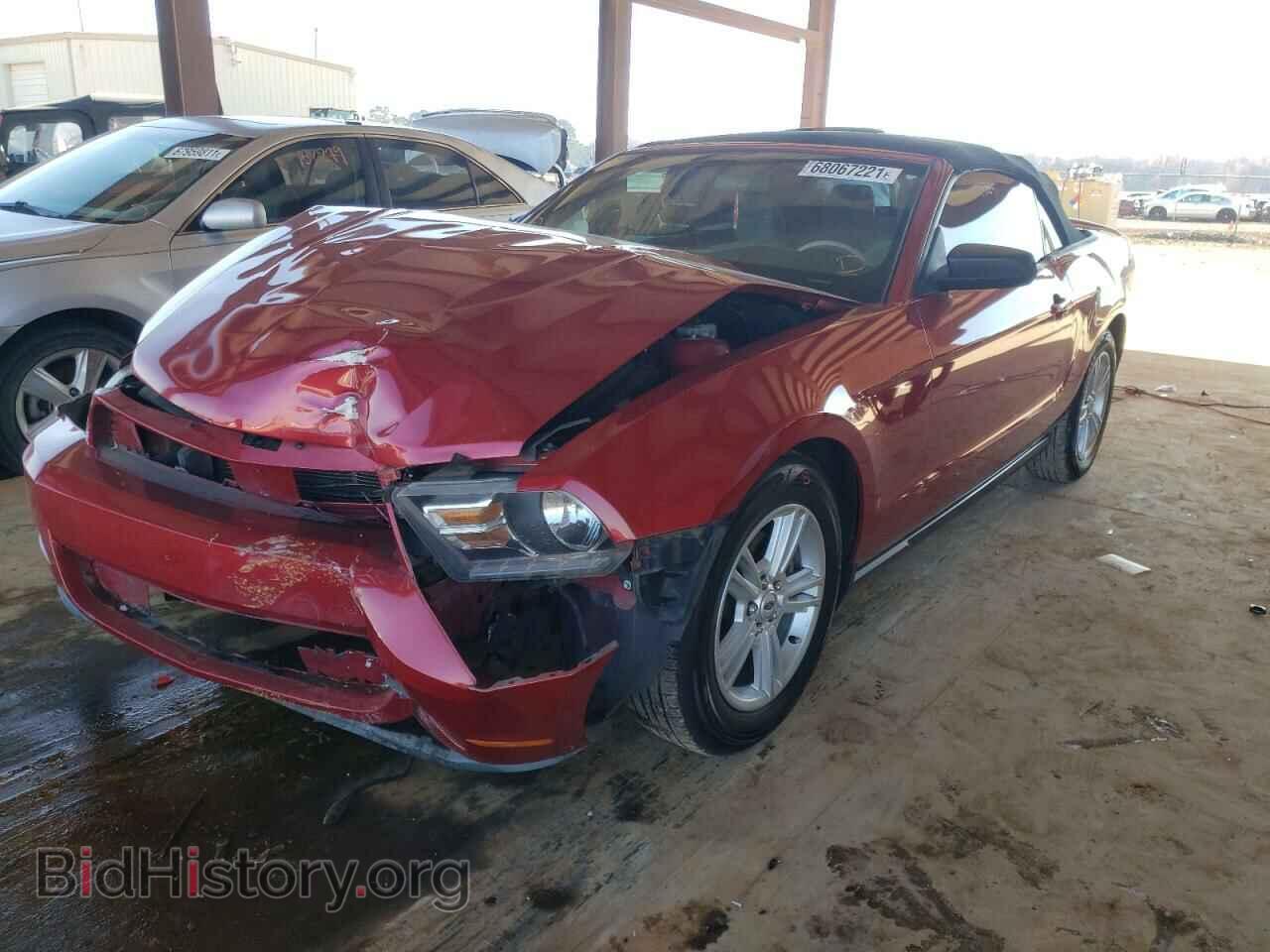 2012 FORD MUSTANG - VIN: 1ZVBP8EM5C5201427 - Фото 2