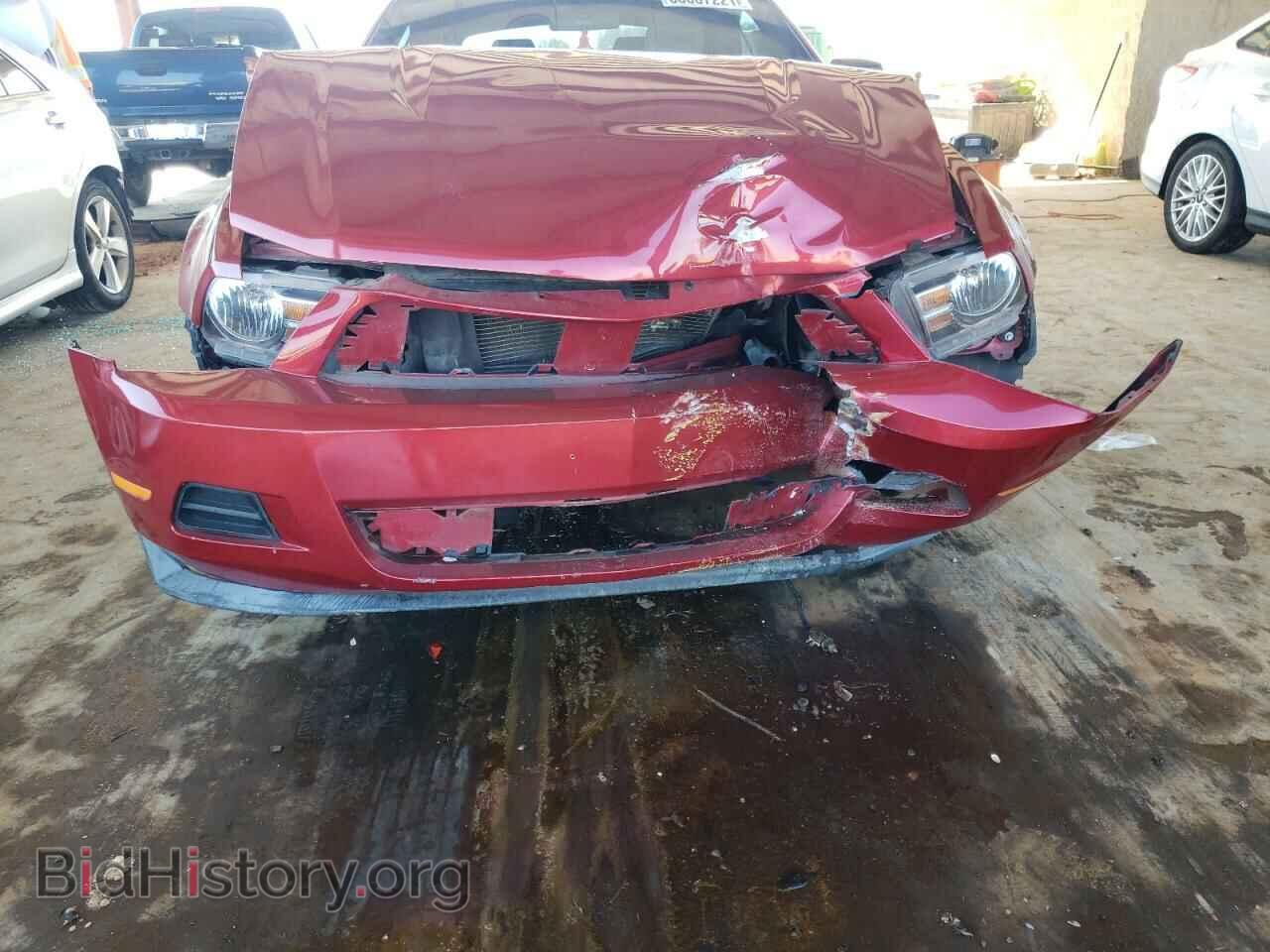 2012 FORD MUSTANG - VIN: 1ZVBP8EM5C5201427 - Фото 7