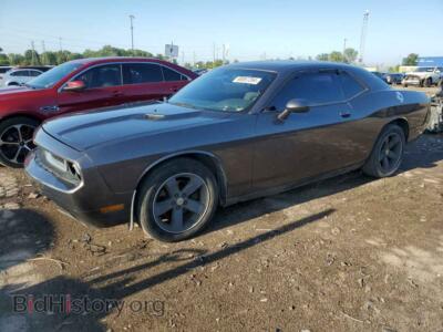 2014 Dodge CHALLENGER SXT, серый — VIN 2C3CDYAG7EH244876, Copart