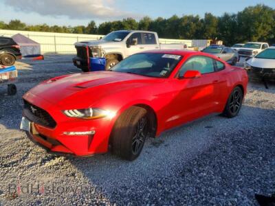2019 Ford MUSTANG I4 Coupe, красный — VIN 1FA6P8TH7K5189666, Copart