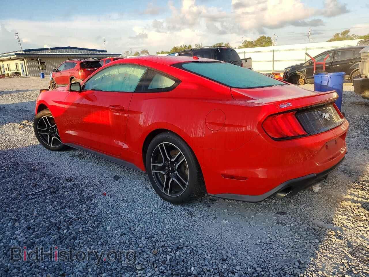 2019 FORD MUSTANG - VIN: 1FA6P8TH7K5189666 - Photo 2