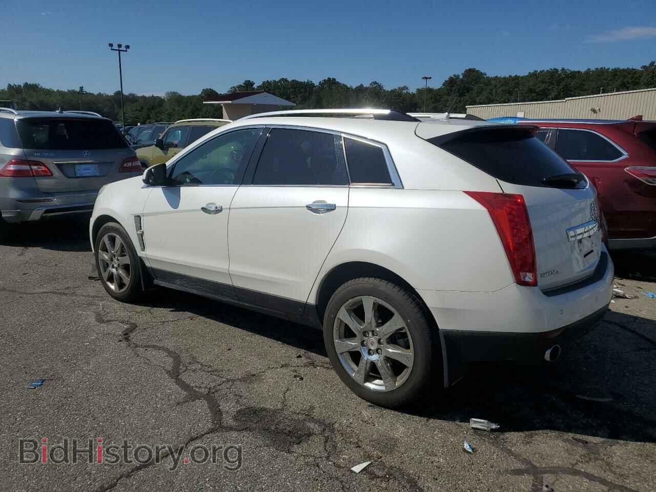 2011 CADILLAC SRX - VIN: 3GYFNEEY2BS548904 - Фото 2