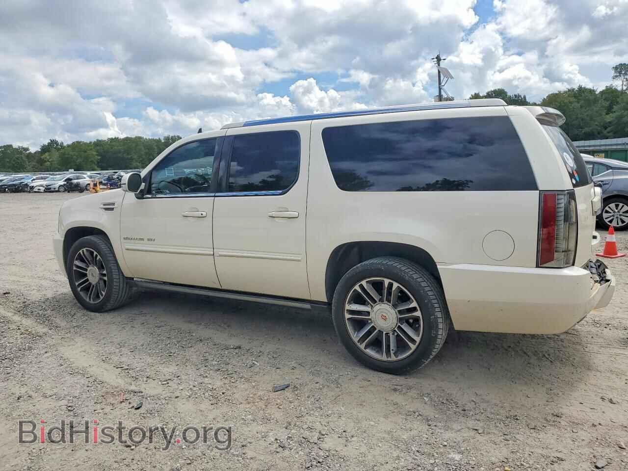2013 CADILLAC ESCALADE - VIN: 1GYS3JEF9DR378087 - Фото 2