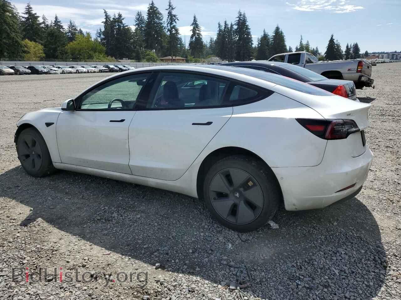 2021 TESLA MODEL 3 - VIN: 5YJ3E1EA2MF092158 - Photo 2