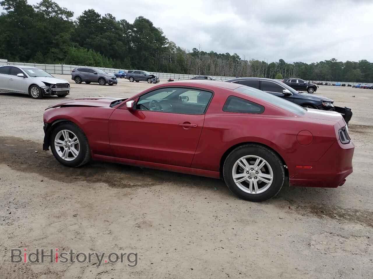 2014 FORD ALL Models - VIN: 1ZVBP8AM7E5202894 - Фото 2