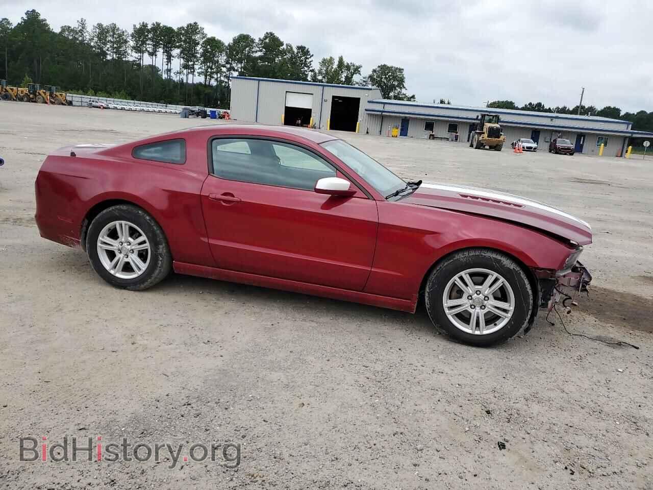 2014 FORD ALL Models - VIN: 1ZVBP8AM7E5202894 - Фото 4