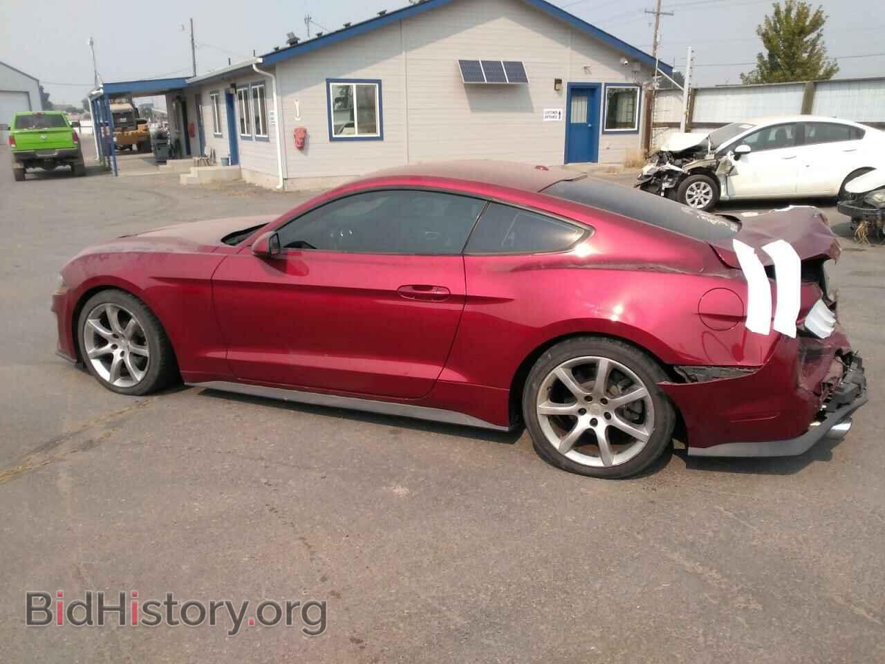 2019 FORD ALL Models - VIN: 1FA6P8TH7K5143979 - Фото 2