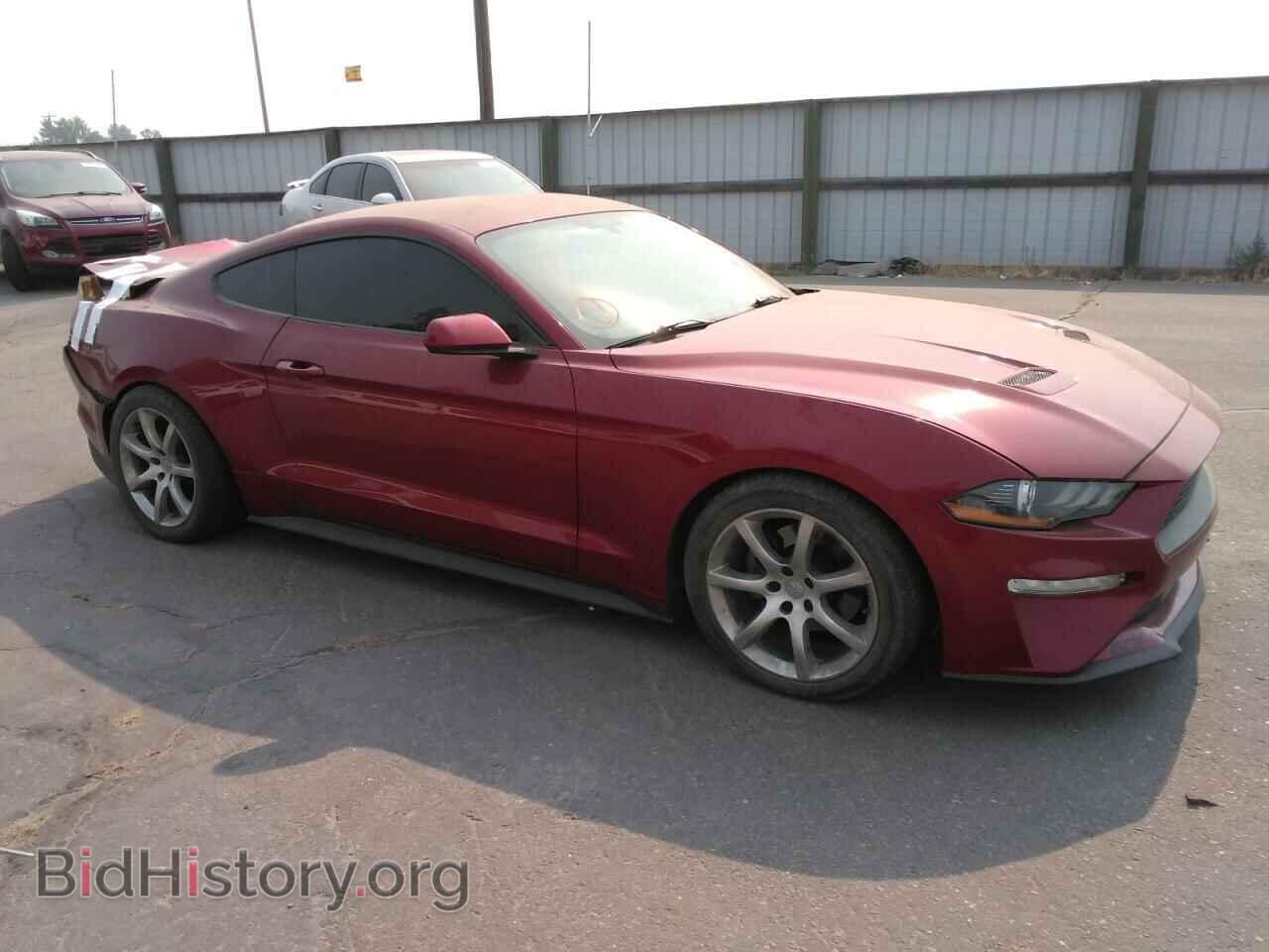 2019 FORD ALL Models - VIN: 1FA6P8TH7K5143979 - Фото 4