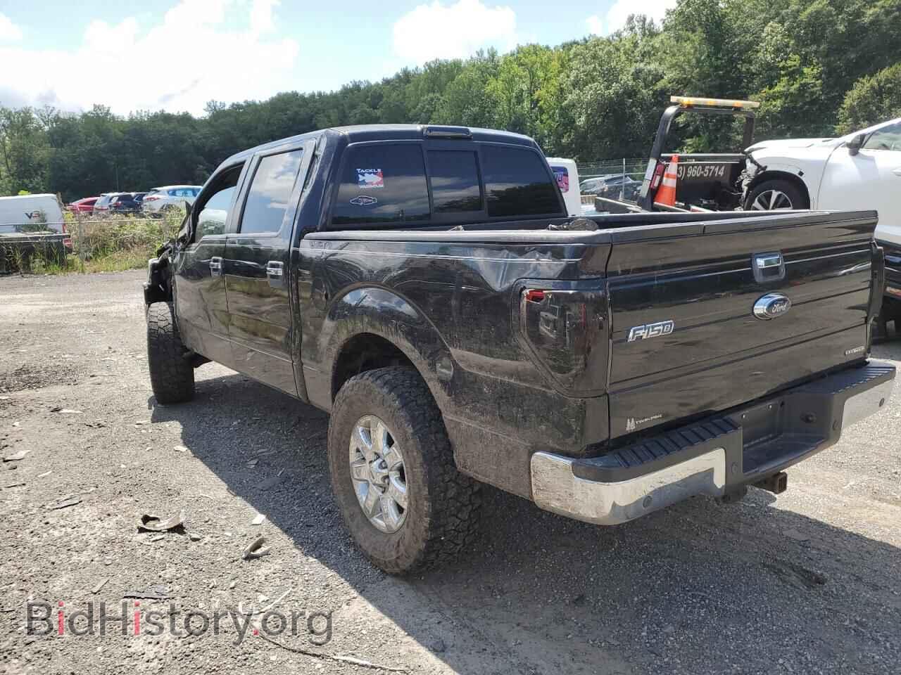 2014 FORD F-150 - VIN: 1FTFW1EF4EFC65245 - Фото 2