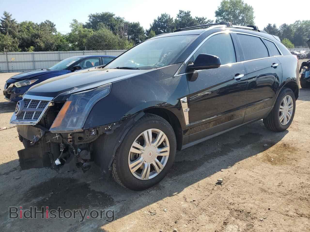 Photo 3GYFNAEY9AS595256 - CADILLAC SRX 2010