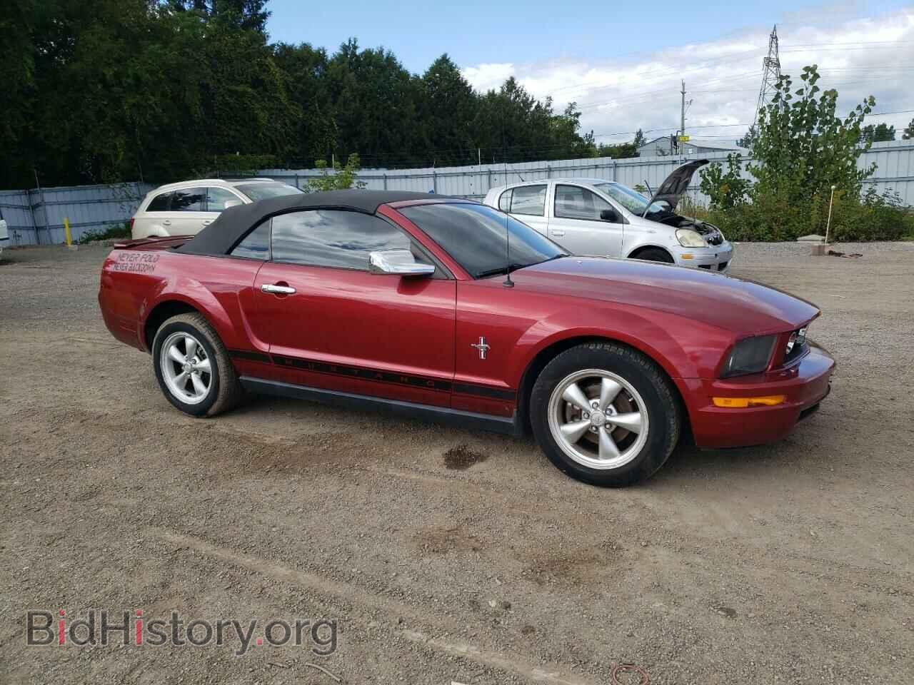 2007 FORD ALL Models - VIN: 1ZVFT84N175309590 - Фото 4