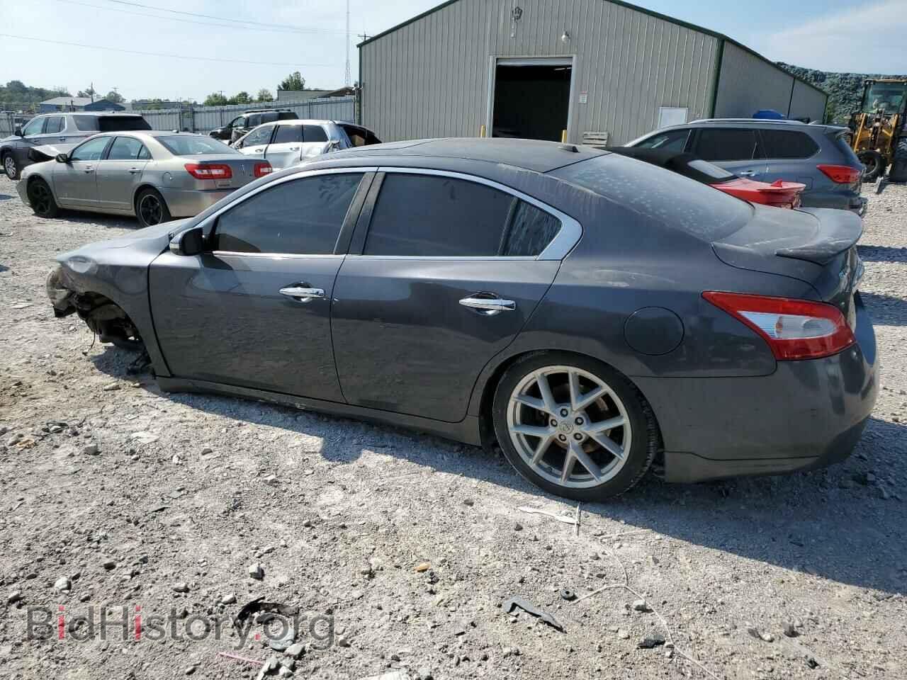 2009 NISSAN MAXIMA - VIN: 1N4AA51E39C806506 - Фото 2