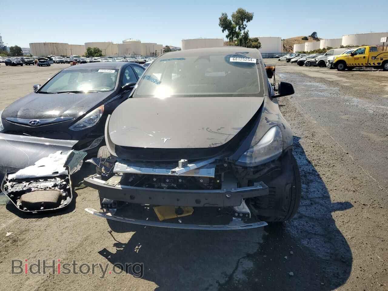 2024 TESLA MODEL Y - VIN: 7SAYGDEEXRF985015 - Фото 5