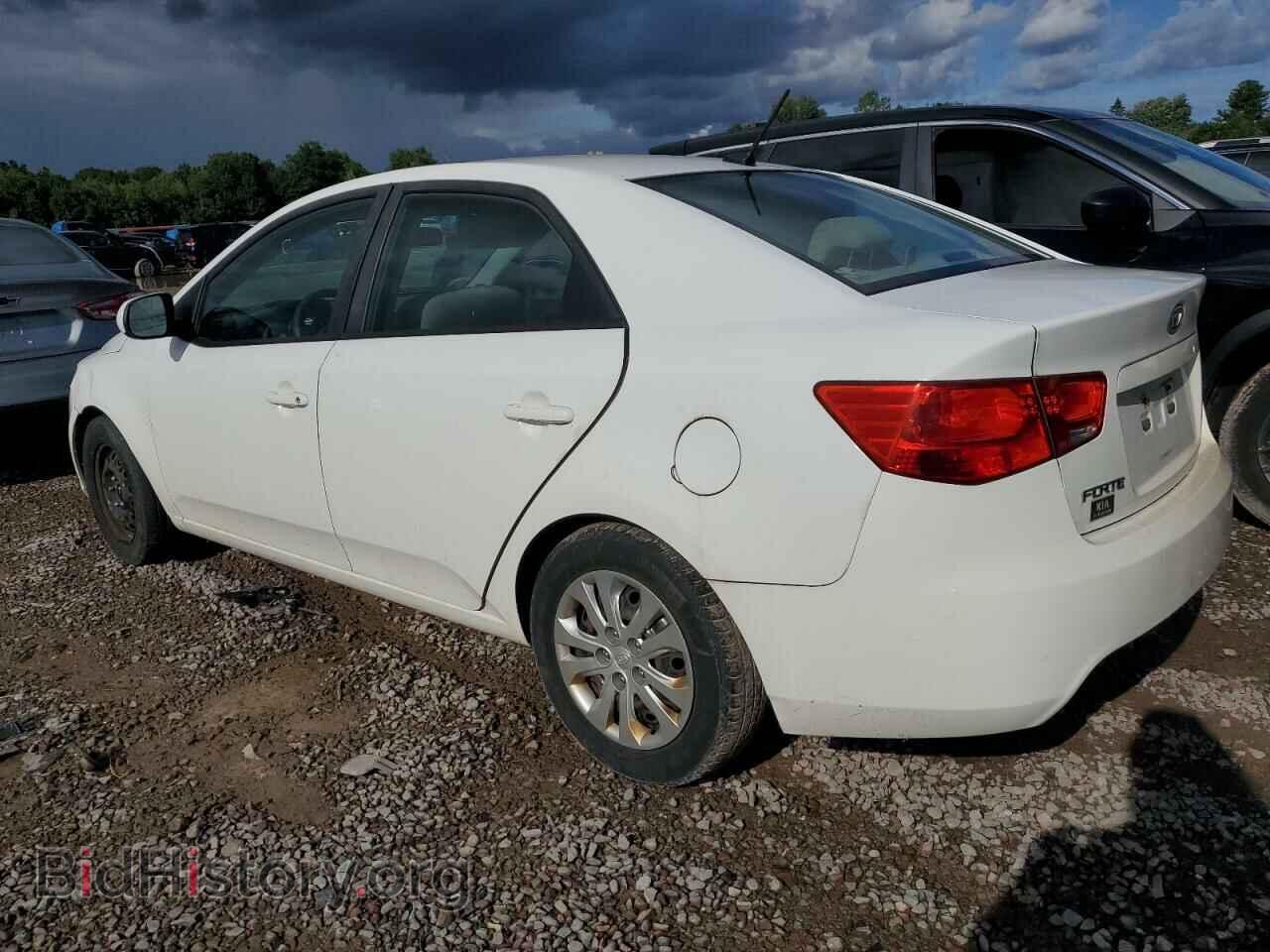 2013 KIA FORTE - VIN: KNAFT4A28D5683287 - Фото 2