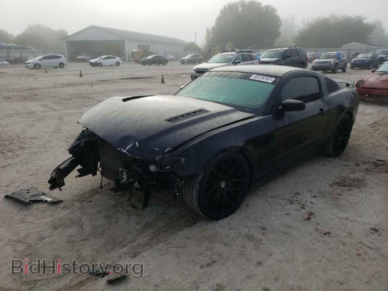 2013 FORD MUSTANG - VIN: 1ZVBP8CF5D5278028 - Фото 2