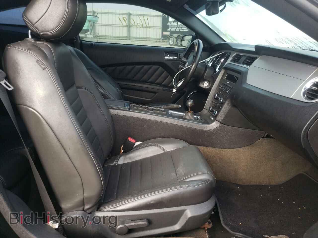 2013 FORD MUSTANG - VIN: 1ZVBP8CF5D5278028 - Фото 5