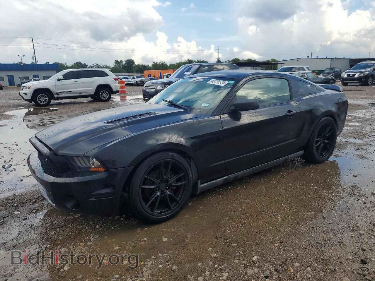 Фотография 1ZVBP8AM0C5264876 - FORD MUSTANG 2012